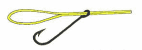palomar-knot