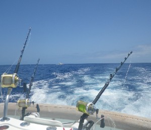 Marlin Fishing Tackle - Leadertec