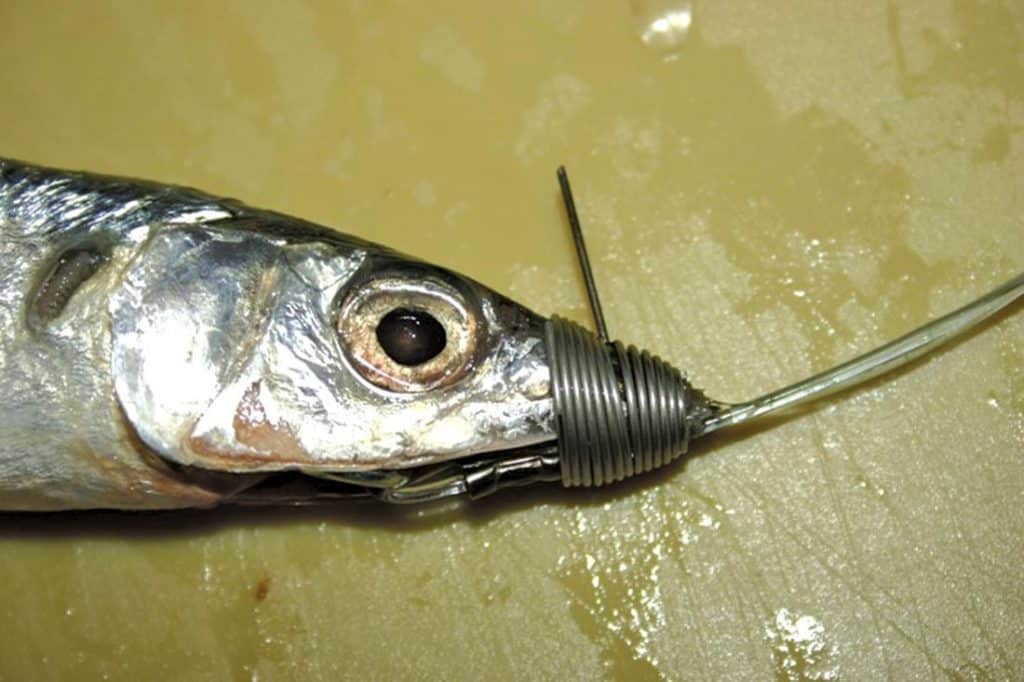 BALLYHOO BAIT RIGGING SPRING - Leadertec