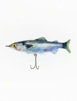 softtail-fish-mullet-image