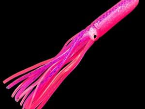 pink-squid-image
