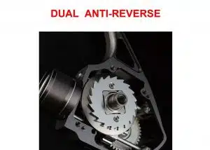 dual-antireverse-image