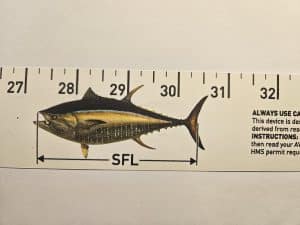 release-ruler-image
