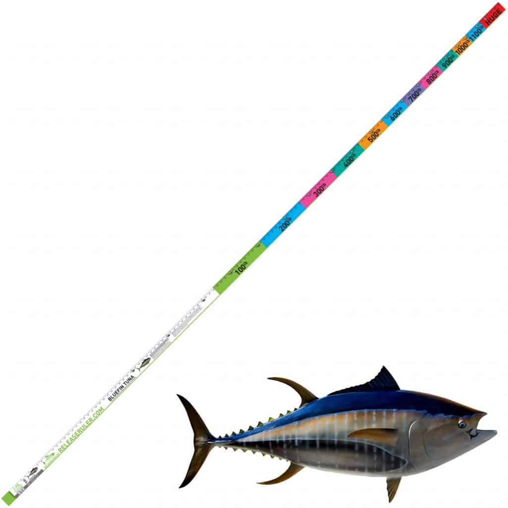 Kite Fishing Rig Bluefin Tuna Line Setup RELEASE RULER