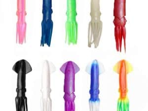soft-squid-image